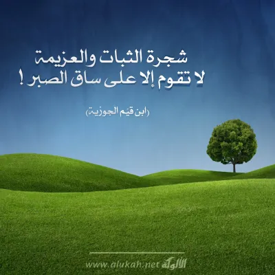 تصميمات الألوكة -1441