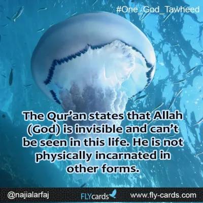 Allah Can't be seen in this life