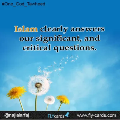 Islam answers our questions