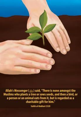 Sowing seeds and planting trees