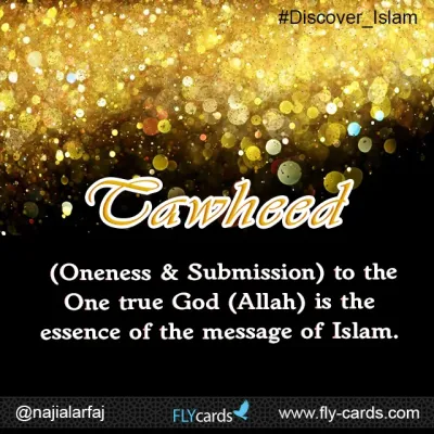 what is tawheed?