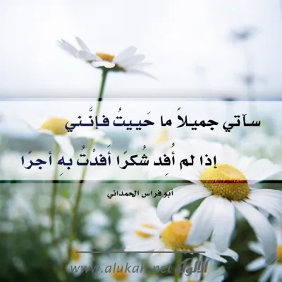 بطاقة الألوكة -1433
