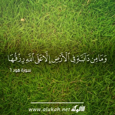 وما من دابة في الأرض