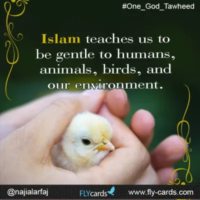 Islam teaches us to be gentle