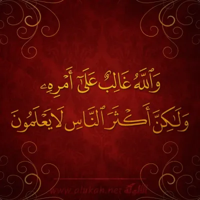 والله غالب على أمره