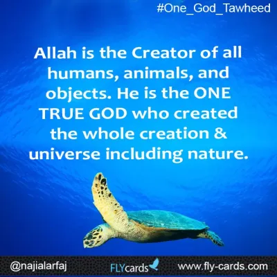 allah is the creator of humans, animals and objects