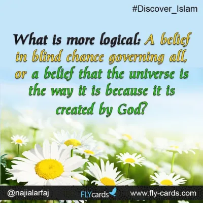 what is more logical