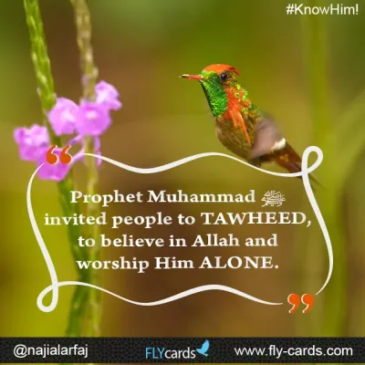 TAWHEED