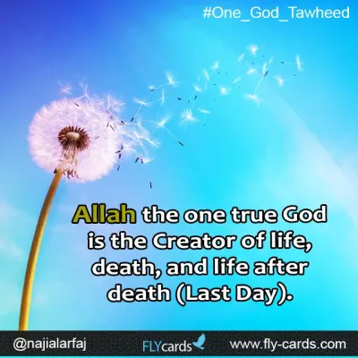 allah the one God is the creator of life