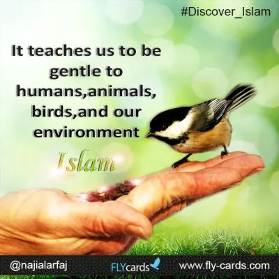 Islam teaches us