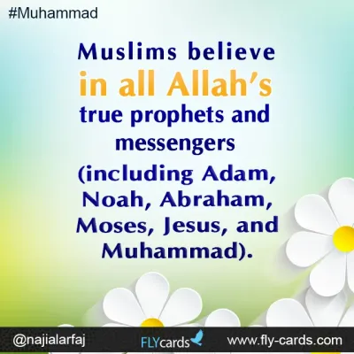 Muslims believe in all Allah's true prophets