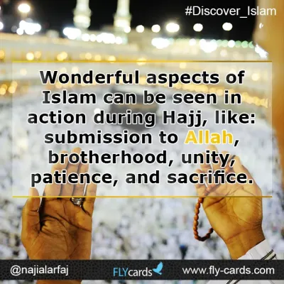 wonderful aspects of islam can be seen