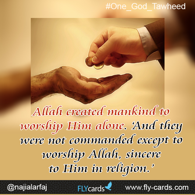 allah created mankind to worship him alone