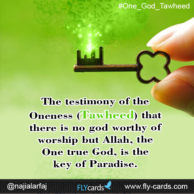 The testimony of Oneness